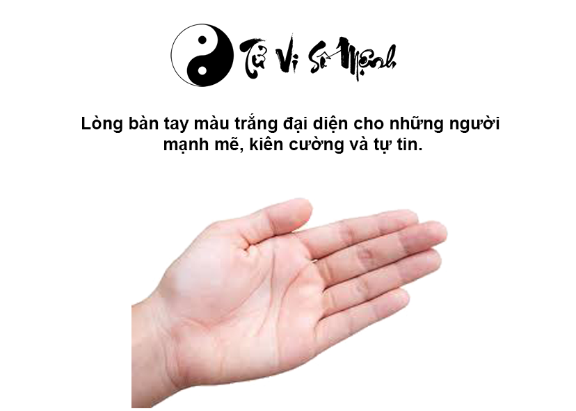 Màu sắc của lòng bàn tay dự đoán sức khỏe và vận mệnh