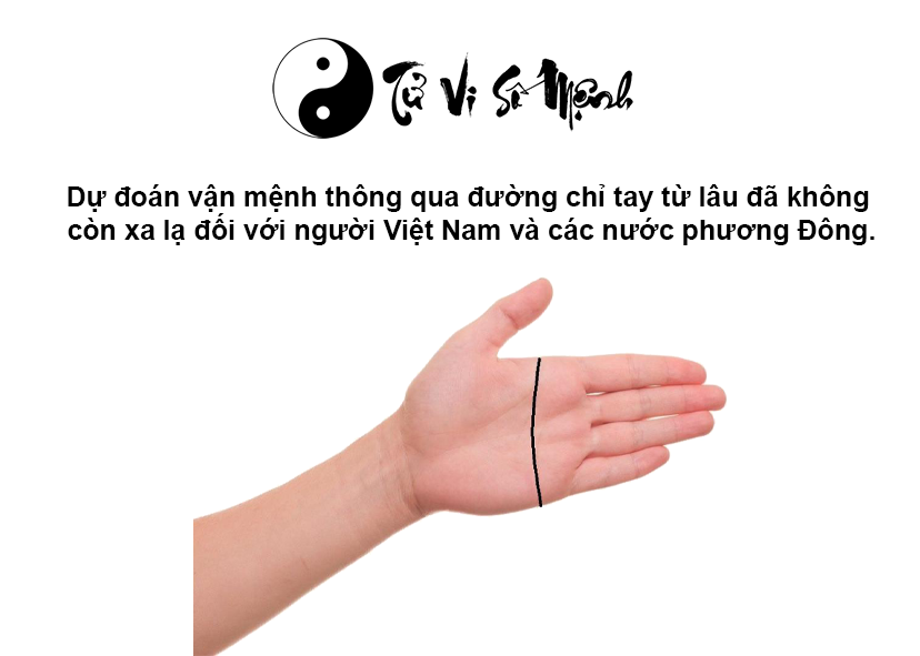 Đường chỉ tay nằm ngang nói lên điều gì