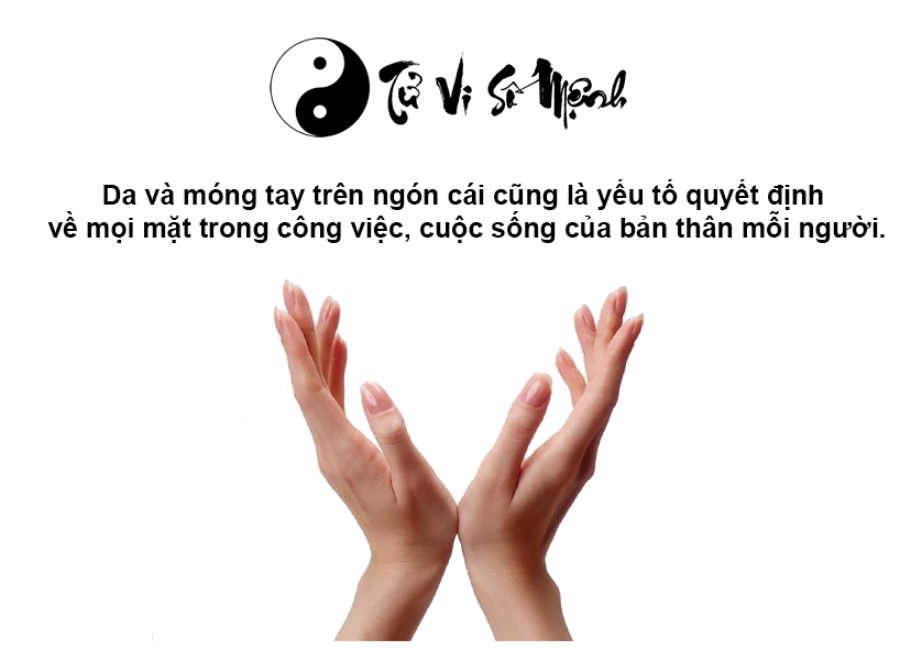 Xem ngón tay cái đoán vận mệnh tương lai