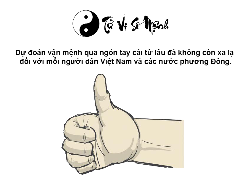 Xem ngón tay cái đoán vận mệnh tương lai