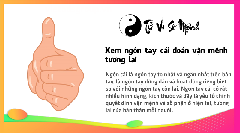 Xem ngón tay cái đoán vận mệnh tương lai