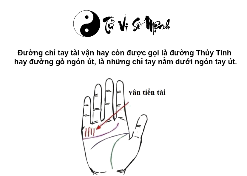Đường chỉ tay tài vận trong lòng bàn tay