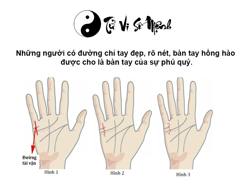 Đường chỉ tay tài vận trong lòng bàn tay