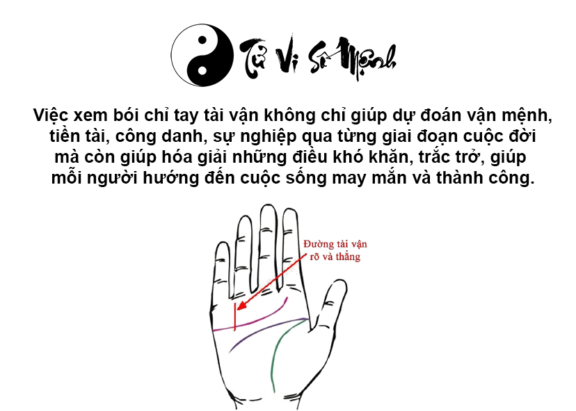 Đường chỉ tay tài vận trong lòng bàn tay
