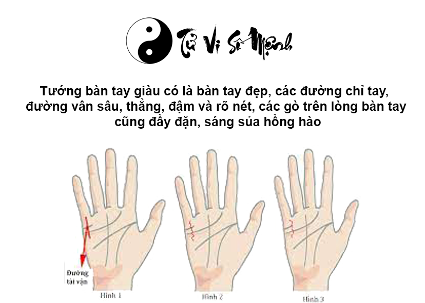 Tướng bàn tay giàu có sở hữu nhiều đất đai