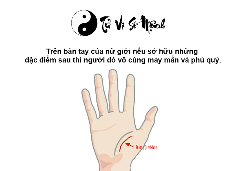 Tướng bàn tay giàu có sở hữu nhiều đất đai