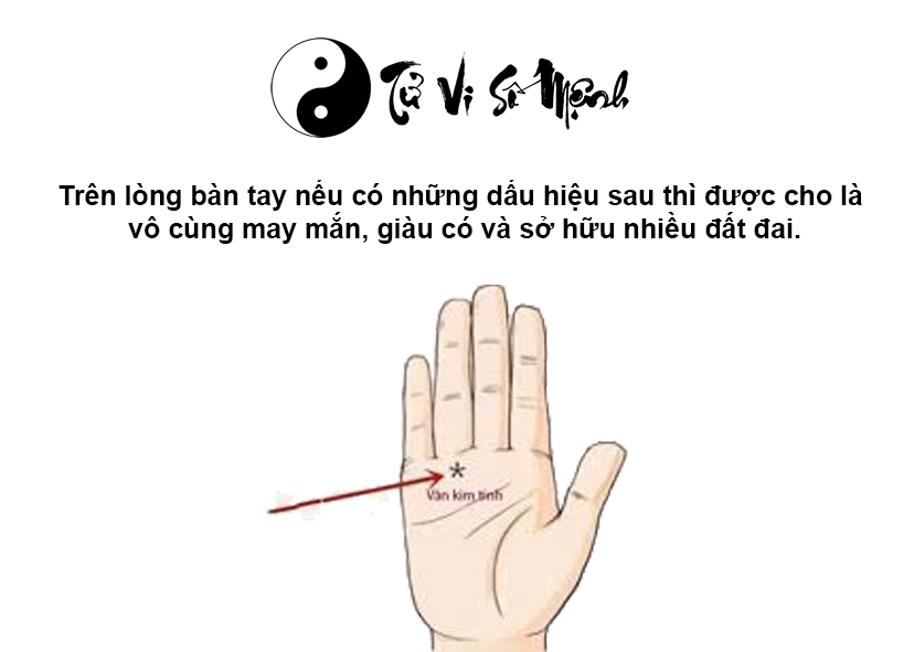 Tướng bàn tay giàu có sở hữu nhiều đất đai