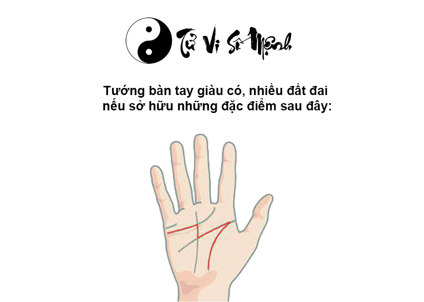 Tướng bàn tay giàu có sở hữu nhiều đất đai