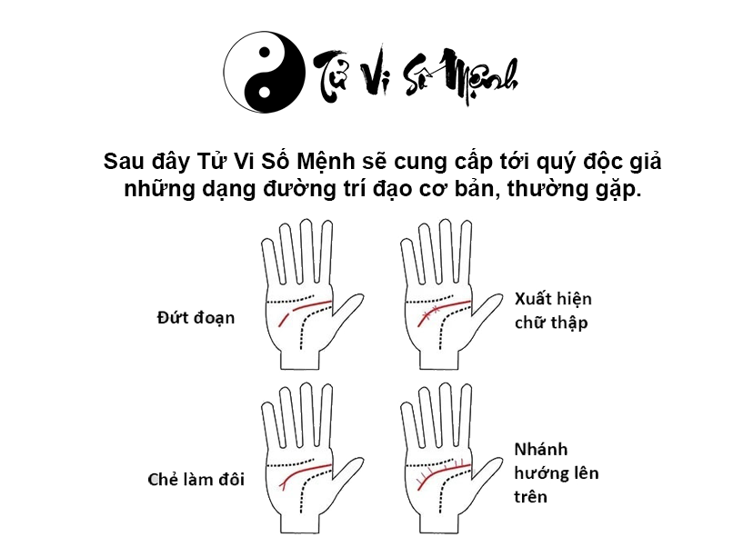 Xem đường chỉ tay trí đạo dự đoán vận số