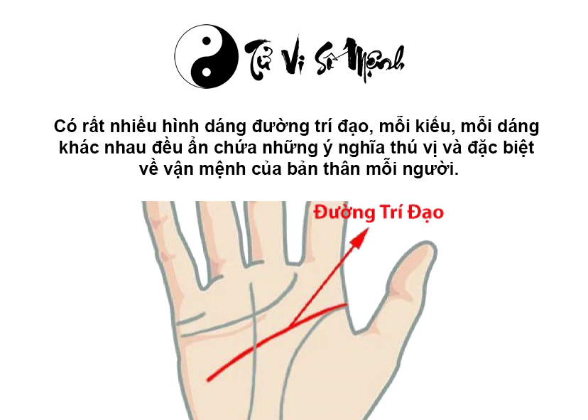 Xem đường chỉ tay trí đạo dự đoán vận số