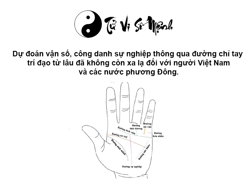 Xem đường chỉ tay trí đạo dự đoán vận số