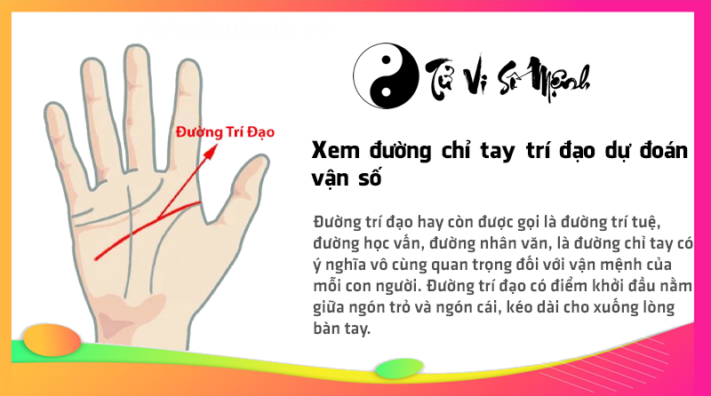Xem đường chỉ tay trí đạo dự đoán vận số