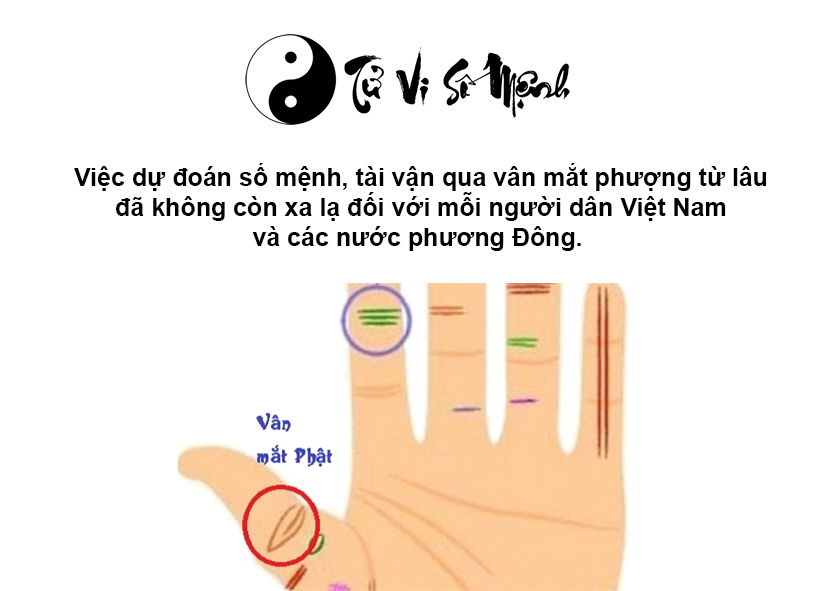 Vân mắt phượng trên ngón tay cái