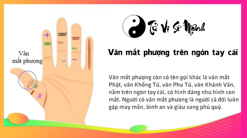 Vân mắt phượng trên ngón tay cái
