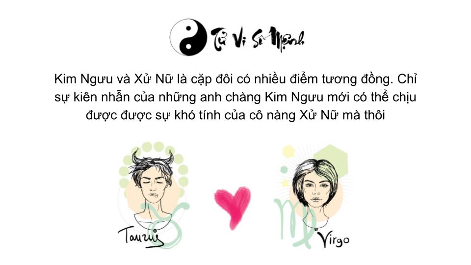 cung kim ngưu