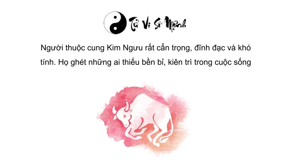 cung kim ngưu