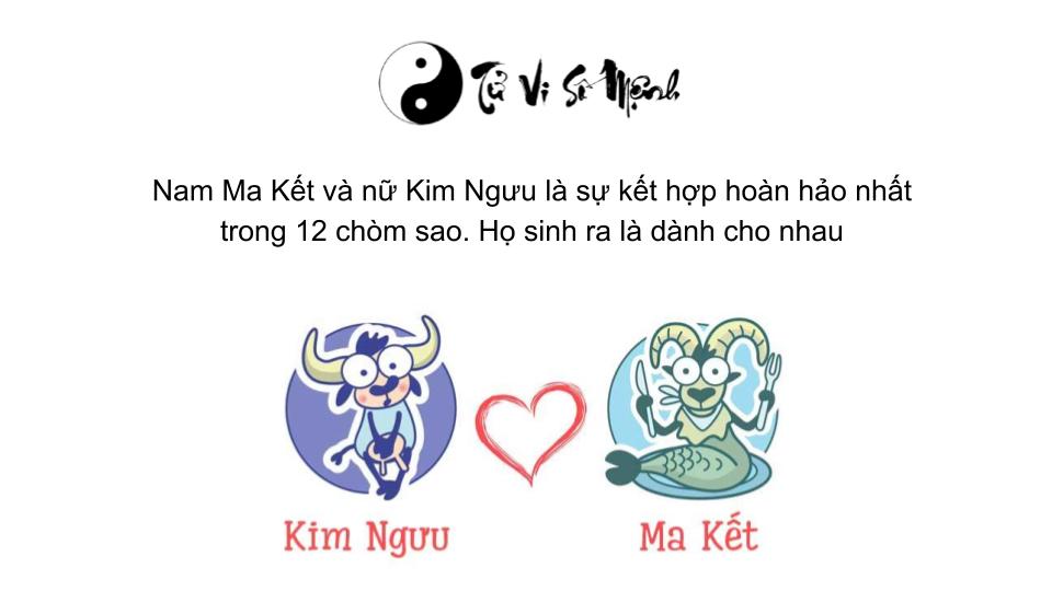 Cung Ma Kết (22/12 - 19/01) là gì và những điều bạn cần biết?
