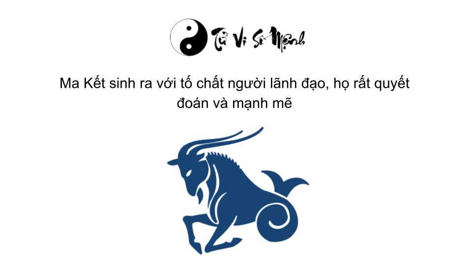 Cung Ma Kết (22/12 - 19/01) là gì và những điều bạn cần biết?