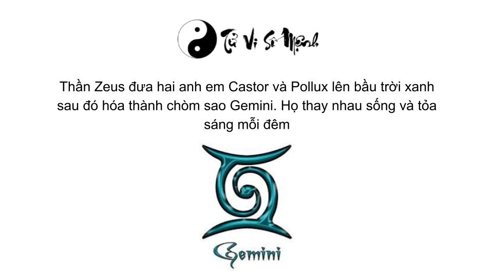 cung song tử