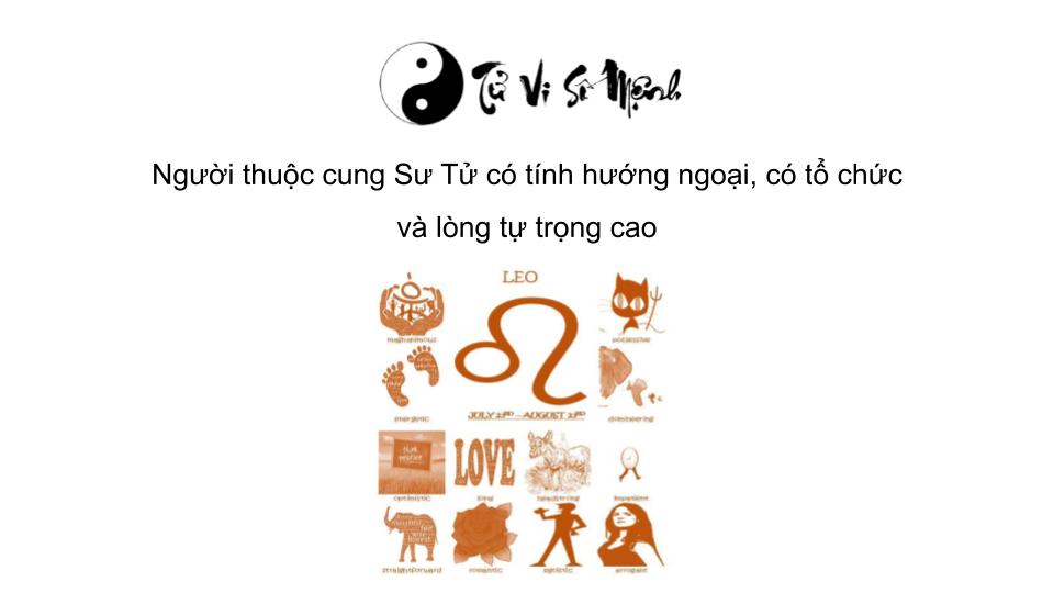 Cung cung Sư Tử (23/7 - 22/8) là gì và những điều bạn cần biết?