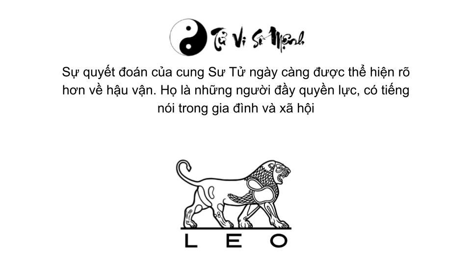 Cung cung Sư Tử (23/7 - 22/8) là gì và những điều bạn cần biết?