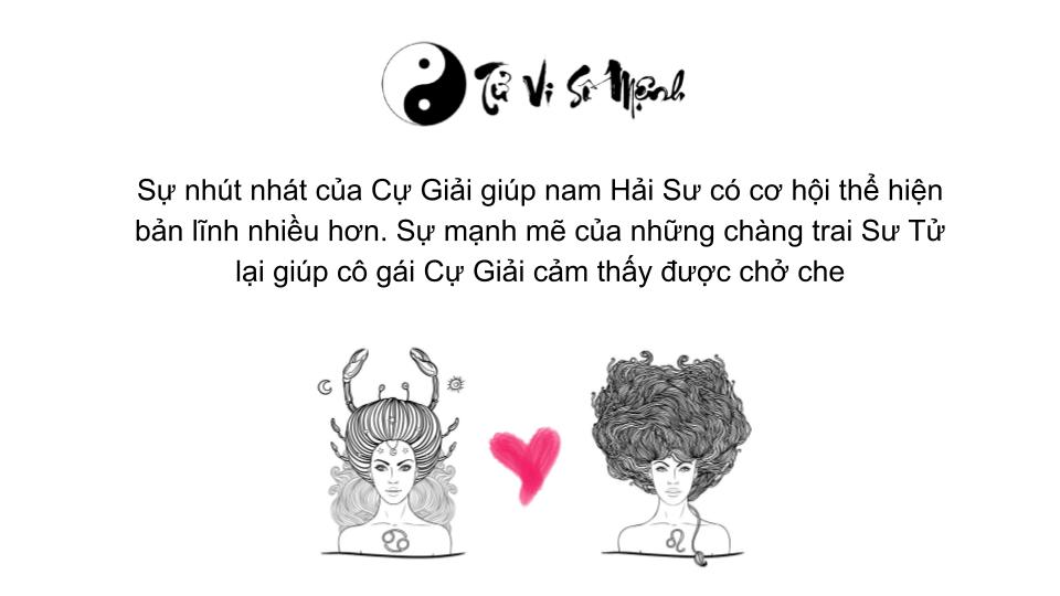 Cung cung Sư Tử (23/7 - 22/8) là gì và những điều bạn cần biết?