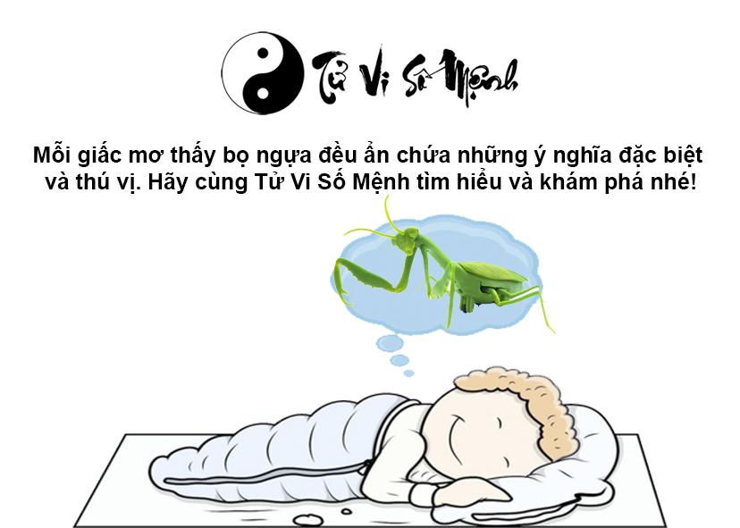 Mơ thấy bọ ngựa là điềm báo gì và ứng với con số nào
