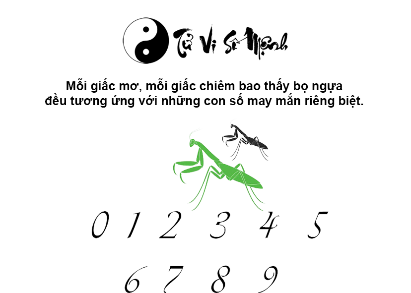 Mơ thấy bọ ngựa là điềm báo gì và ứng với con số nào