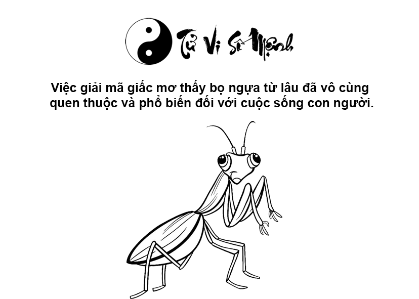 Mơ thấy bọ ngựa là điềm báo gì và ứng với con số nào