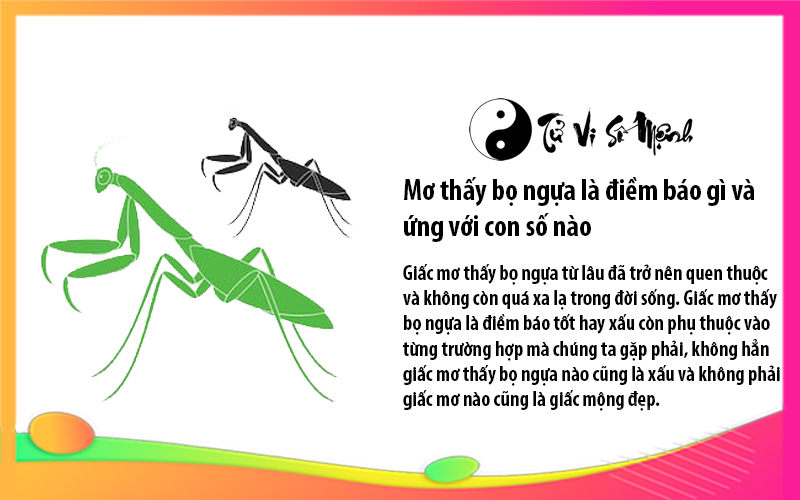 Mơ thấy bọ ngựa là điềm báo gì và ứng với con số nào