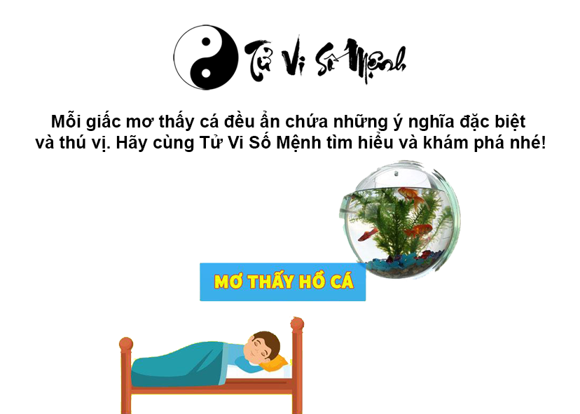 Giải mã giấc mơ thấy cá và con số may mắn