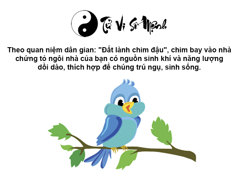 Chim bay vào nhà là điềm báo gì và ứng với con số nào