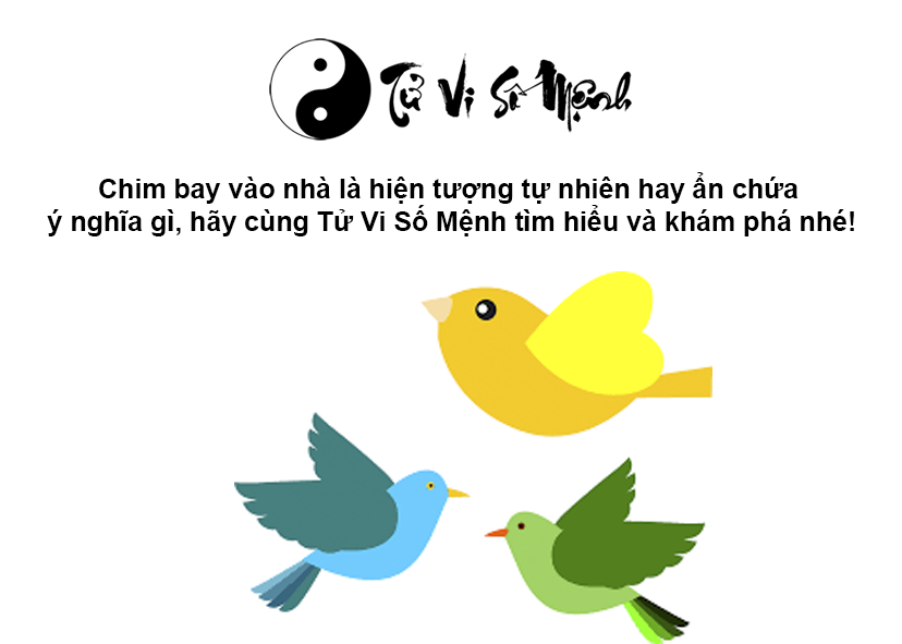 Chim bay vào nhà là điềm báo gì và ứng với con số nào