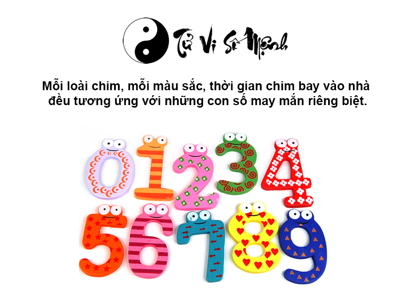 Chim bay vào nhà là điềm báo gì và ứng với con số nào