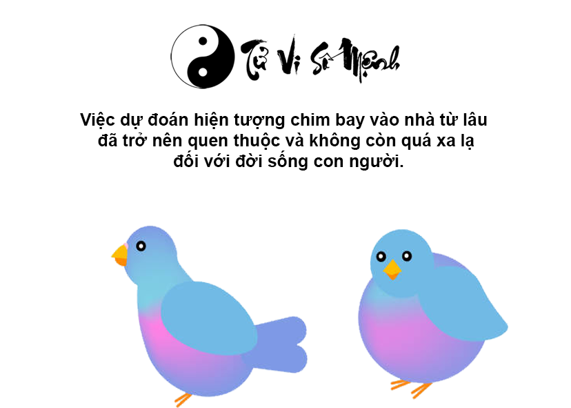 Chim bay vào nhà là điềm báo gì và ứng với con số nào