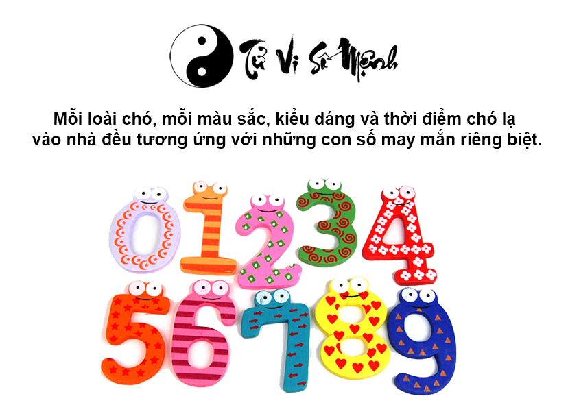 Giải mã hiện tượng chó lạ vào nhà và con số may mắn