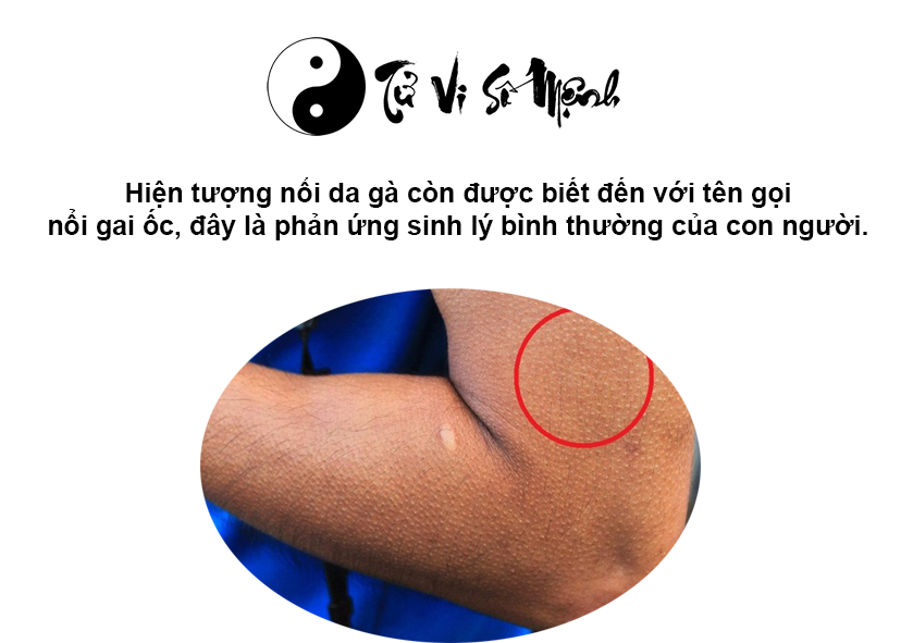 Giải mã hiện tượng nổi da gà và con số may mắn tương ứng