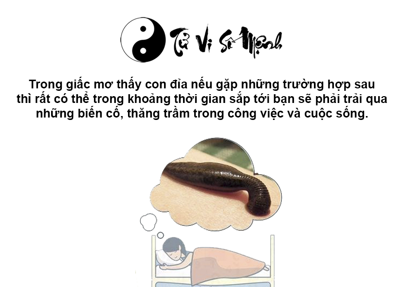 Giải mã giấc mơ thấy con đỉa và con số may mắn