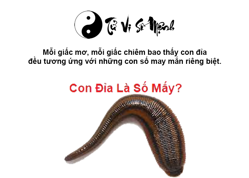 Giải mã giấc mơ thấy con đỉa và con số may mắn