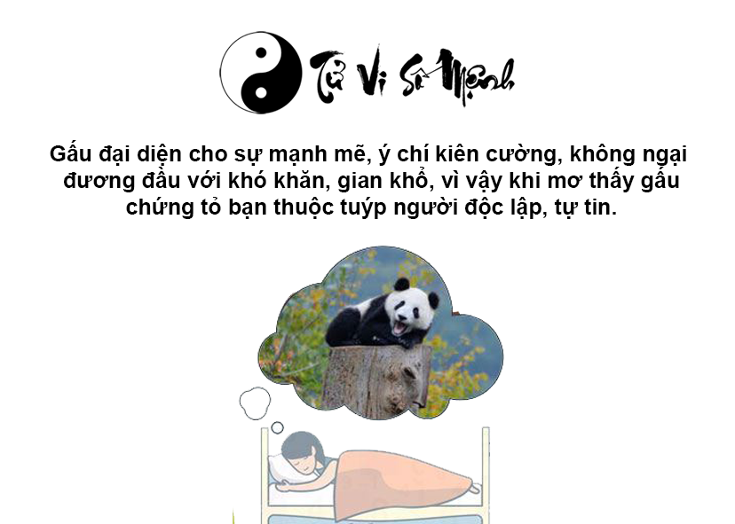 Giải mã giấc mơ thấy gấu và con số may mắn