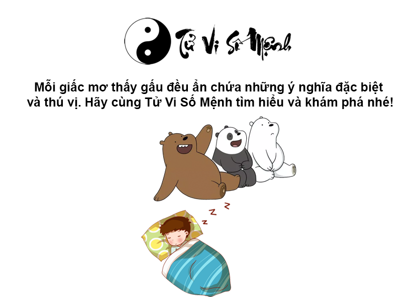 Giải mã giấc mơ thấy gấu và con số may mắn