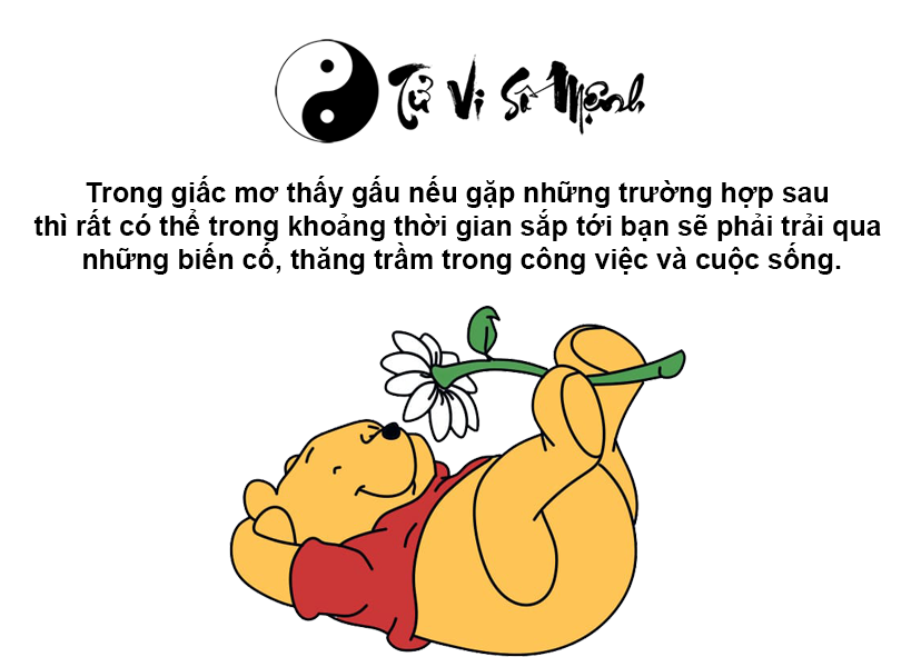 Giải mã giấc mơ thấy gấu và con số may mắn