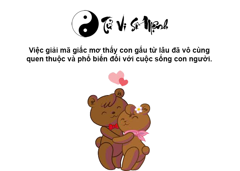 Giải mã giấc mơ thấy gấu và con số may mắn