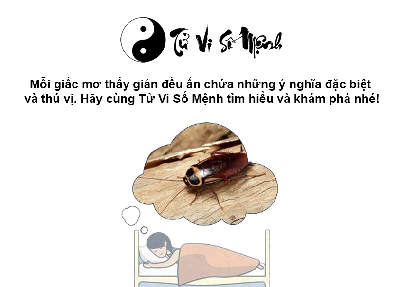 Giải mã giấc mơ thấy gián và con số may mắn