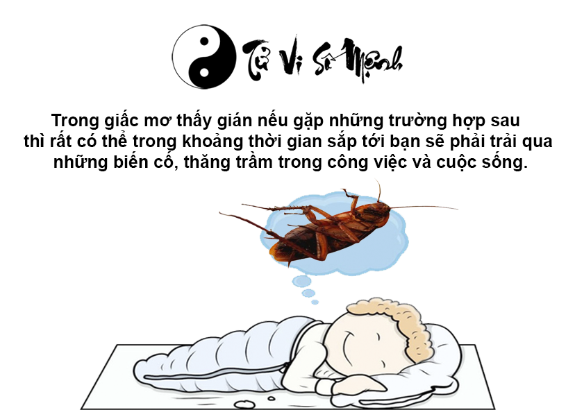 Giải mã giấc mơ thấy gián và con số may mắn