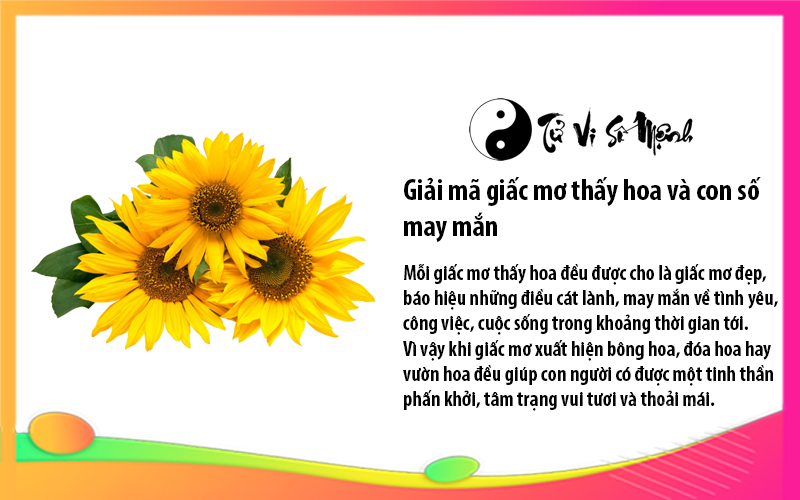 Giải m&atilde; giấc mơ thấy hoa v&agrave; con số may mắn 