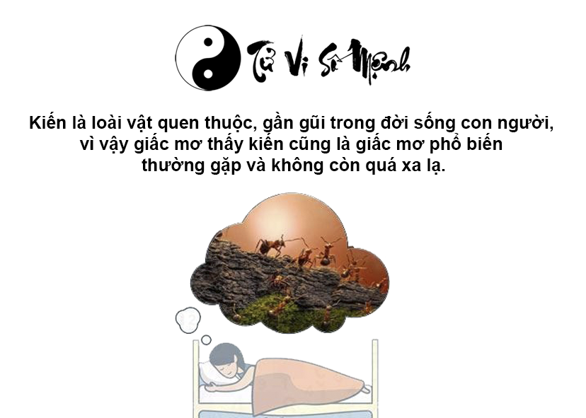 Mơ thấy kiến là điềm báo gì và ứng với con số nào