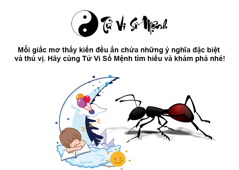 Mơ thấy kiến là điềm báo gì và ứng với con số nào