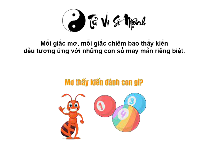 Mơ thấy kiến là điềm báo gì và ứng với con số nào