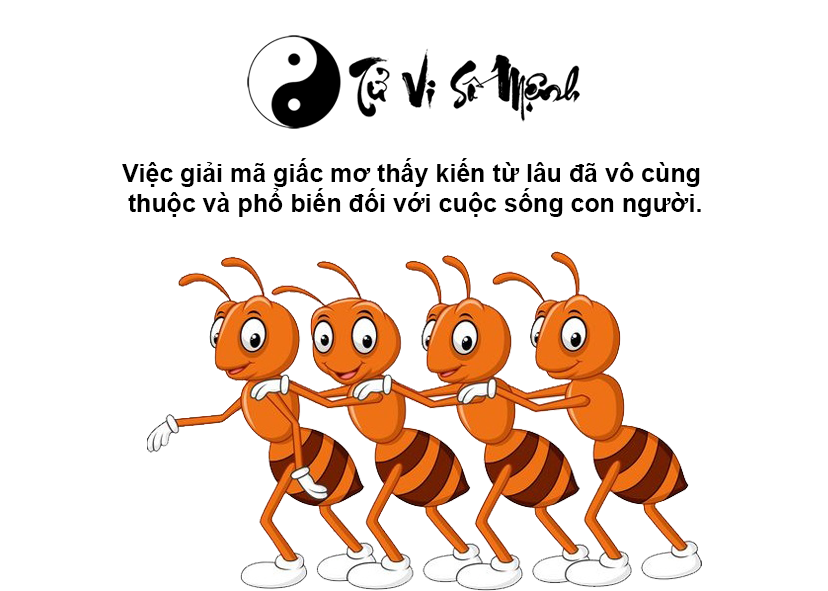 Mơ thấy kiến là điềm báo gì và ứng với con số nào